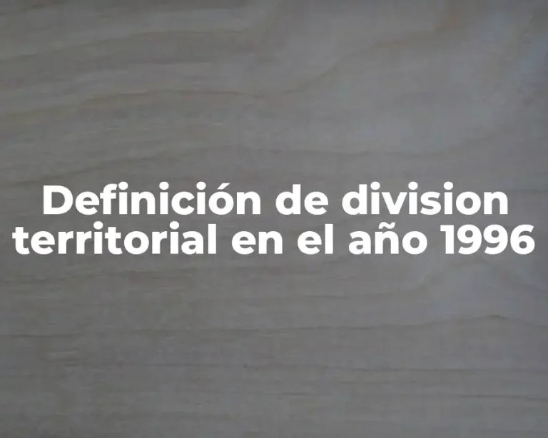 Definición de division territorial en el año 1996