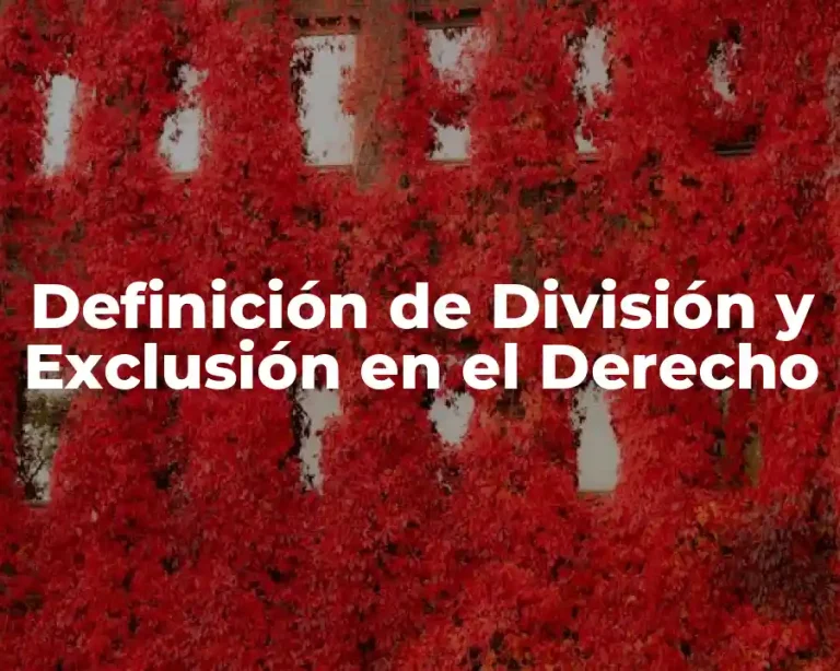 Definición de División y Exclusión en el Derecho