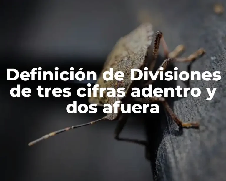 Definición de Divisiones de tres cifras adentro y dos afuera