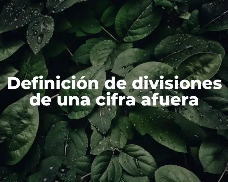 Definición de divisiones de una cifra afuera