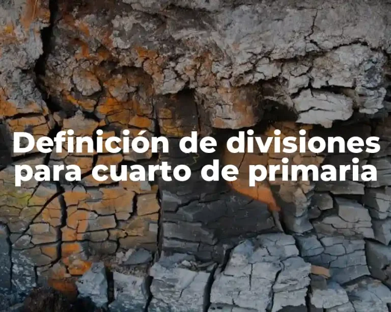 Definición de divisiones para cuarto de primaria