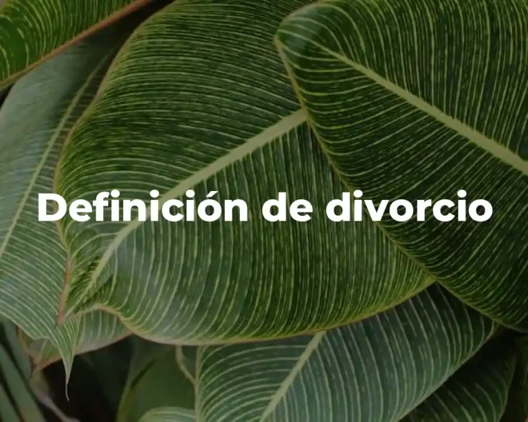 Definición de divorcio