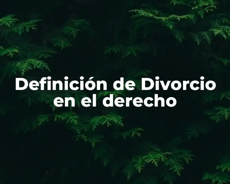 Definición de Divorcio en el derecho
