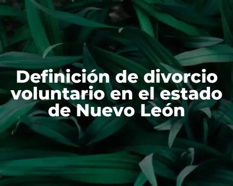 Definición de divorcio voluntario en el estado de Nuevo León