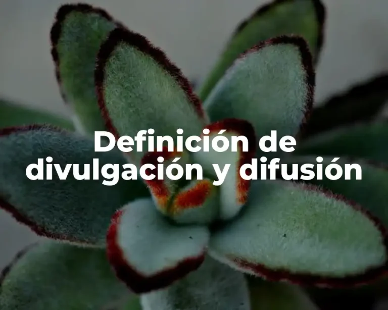 Definición de divulgación y difusión