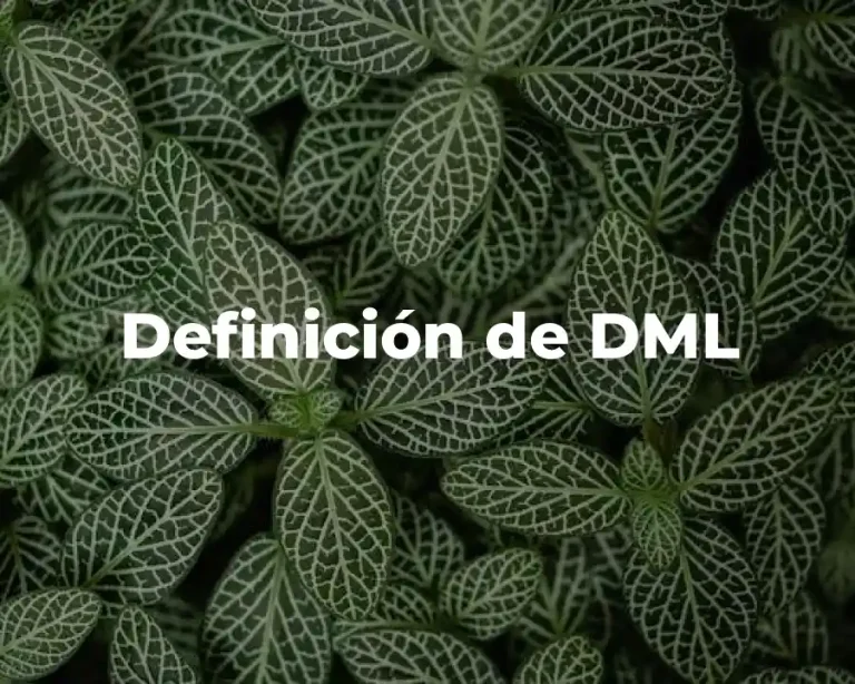 Definición de DML