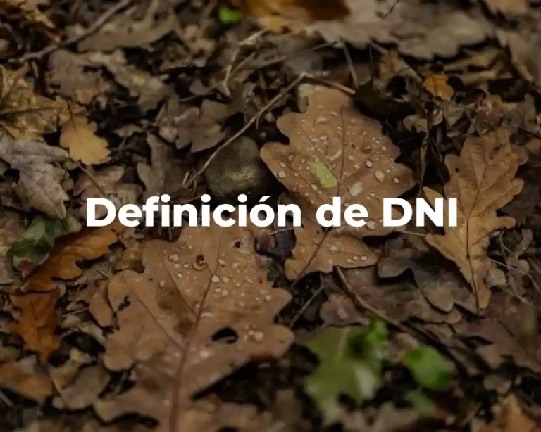 Definición de DNI