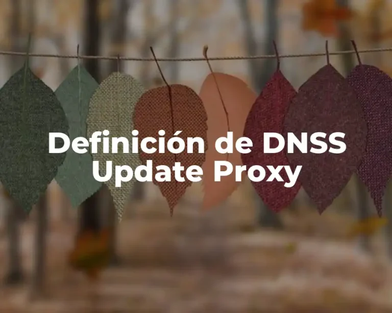 Definición de DNSS Update Proxy