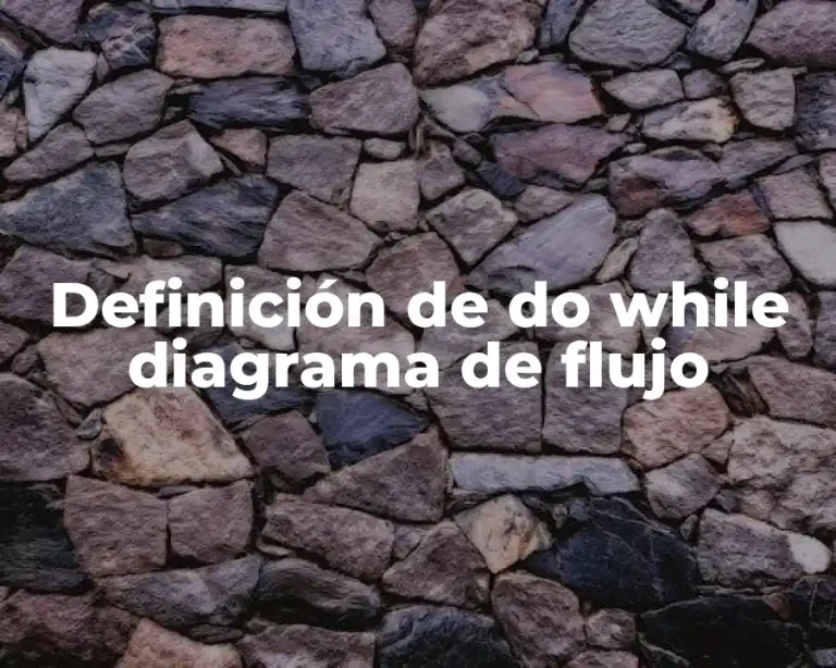 Definición de do while diagrama de flujo