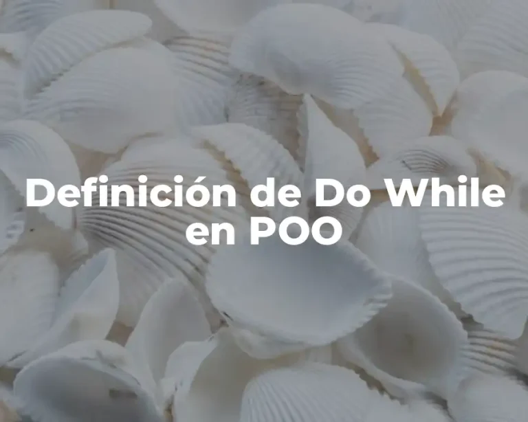 Definición de Do While en POO