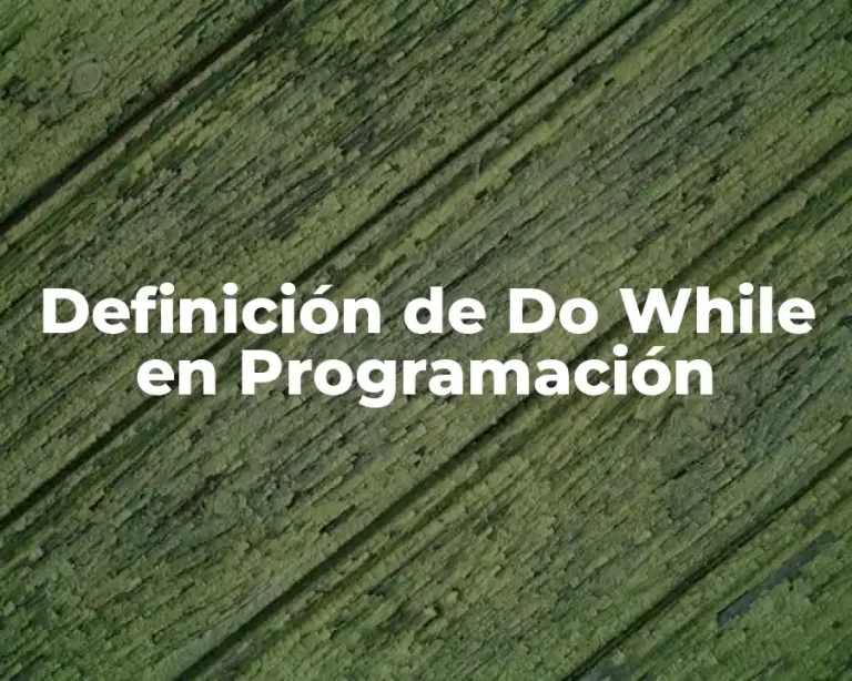 Definición de Do While en Programación