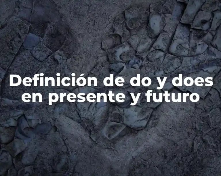 Definición de do y does en presente y futuro