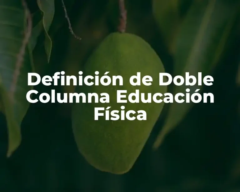 Definición de Doble Columna Educación Física