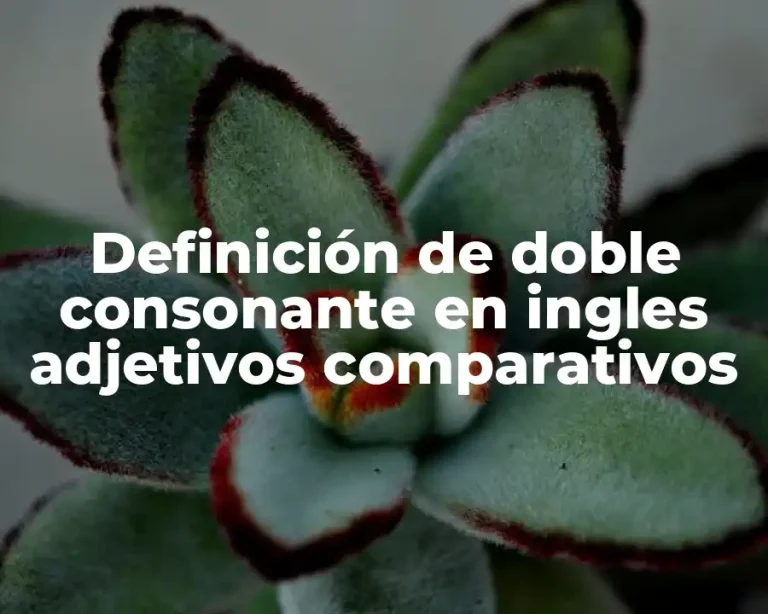 Definición de doble consonante en ingles adjetivos comparativos