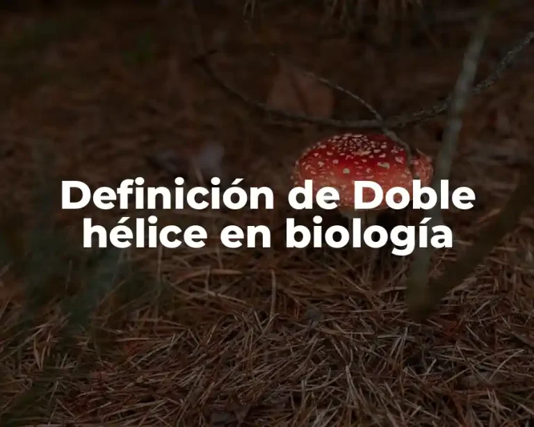 Definición de Doble hélice en biología