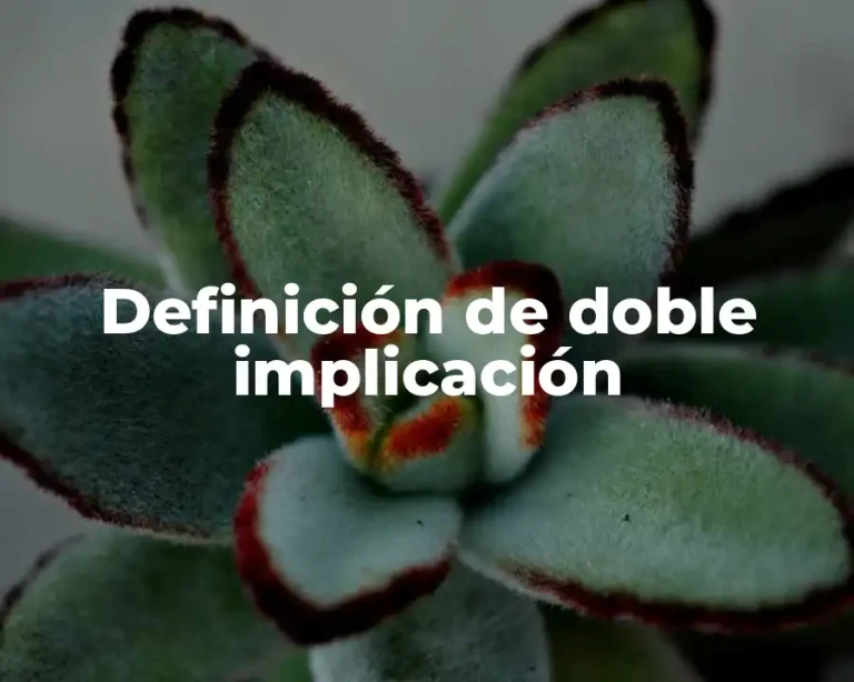 Definición de doble implicación