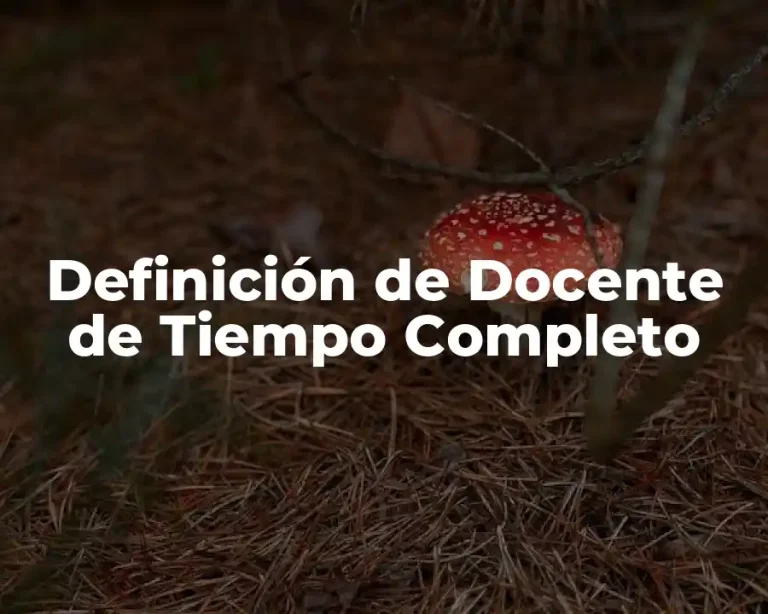 Definición de Docente de Tiempo Completo