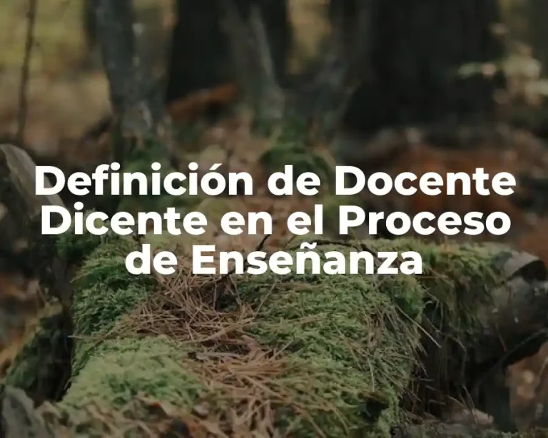 Definición de Docente Dicente en el Proceso de Enseñanza