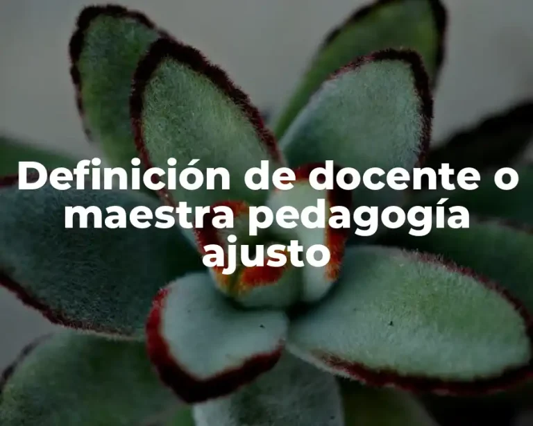 Definición de docente o maestra pedagogía ajusto