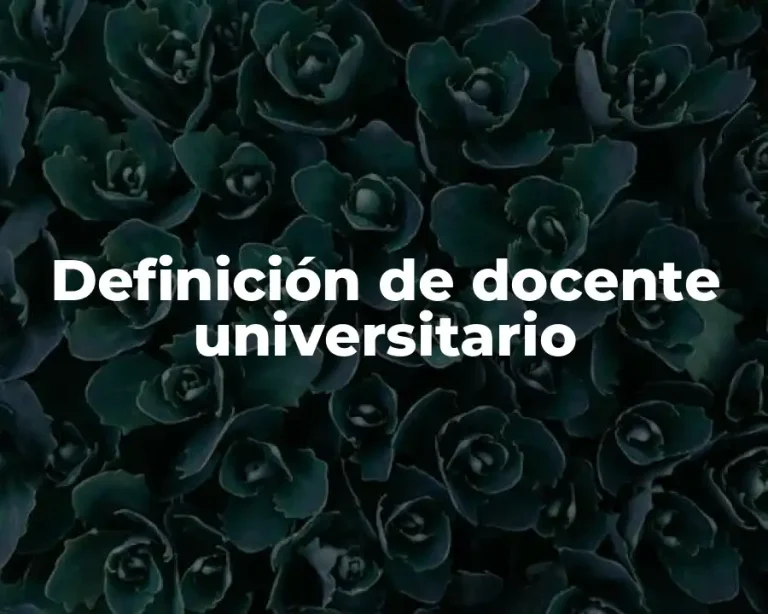 Definición de docente universitario