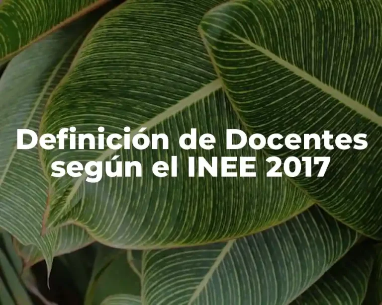Definición de Docentes según el INEE 2017