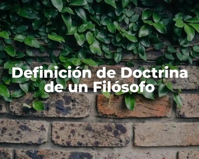 Definición de Doctrina de un Filósofo
