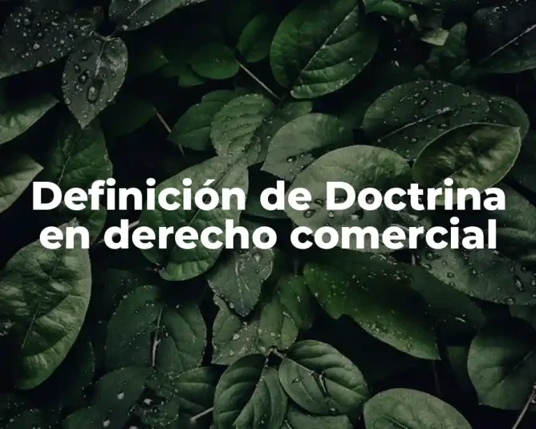 Definición de Doctrina en derecho comercial