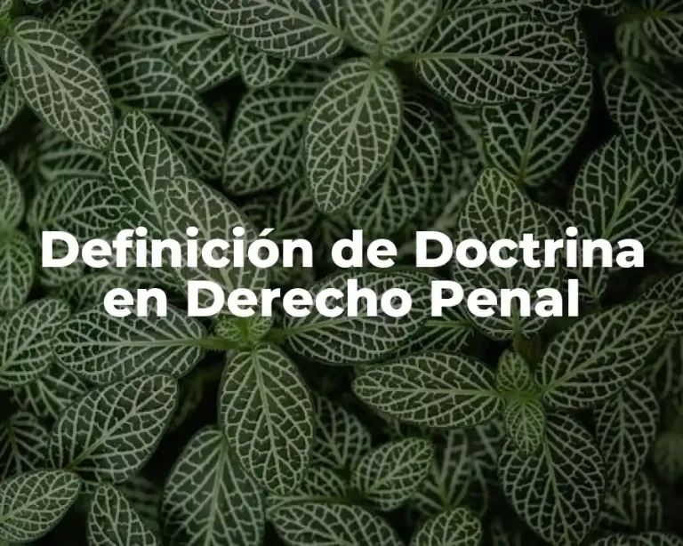 Definición de Doctrina en Derecho Penal