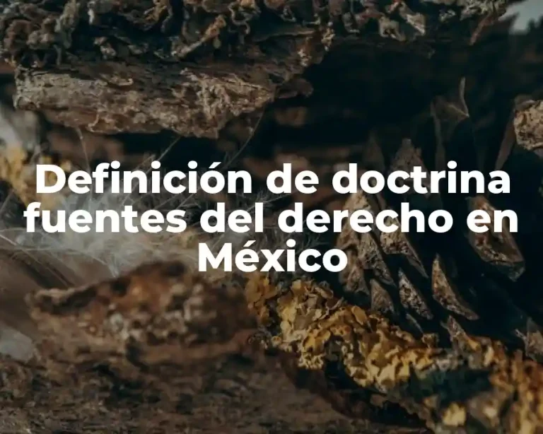 Definición de doctrina fuentes del derecho en México