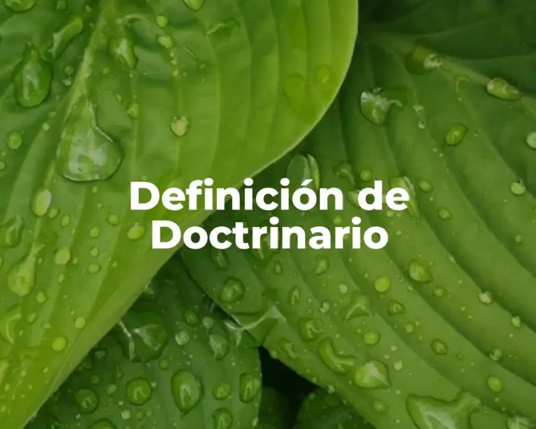 Definición de Doctrinario