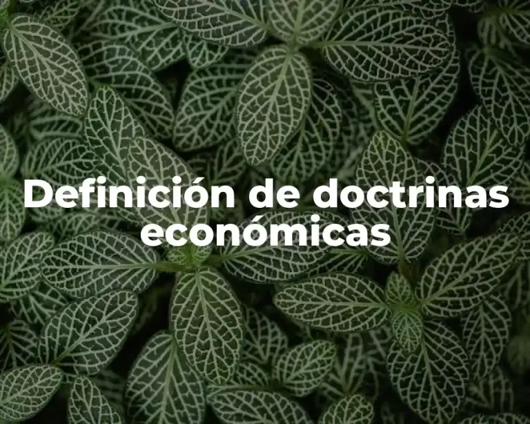 Definición de doctrinas económicas