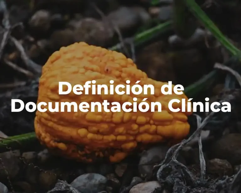 Definición de Documentación Clínica