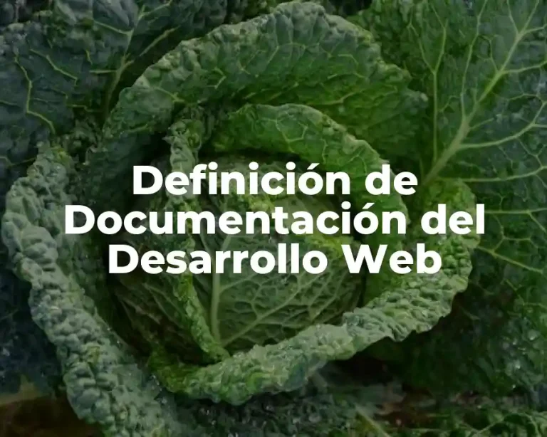 Definición de Documentación del Desarrollo Web
