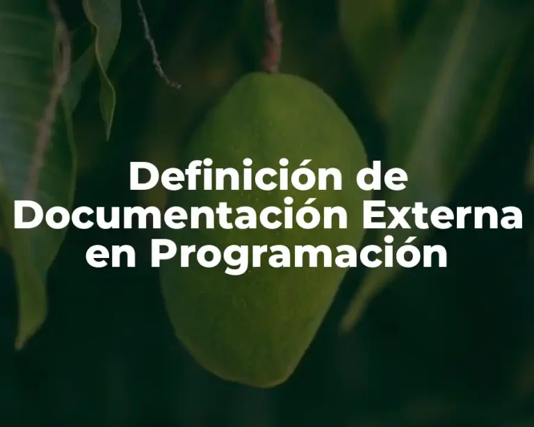 Definición de Documentación Externa en Programación