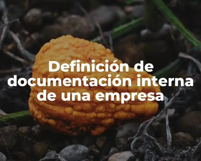 Definición de documentación interna de una empresa