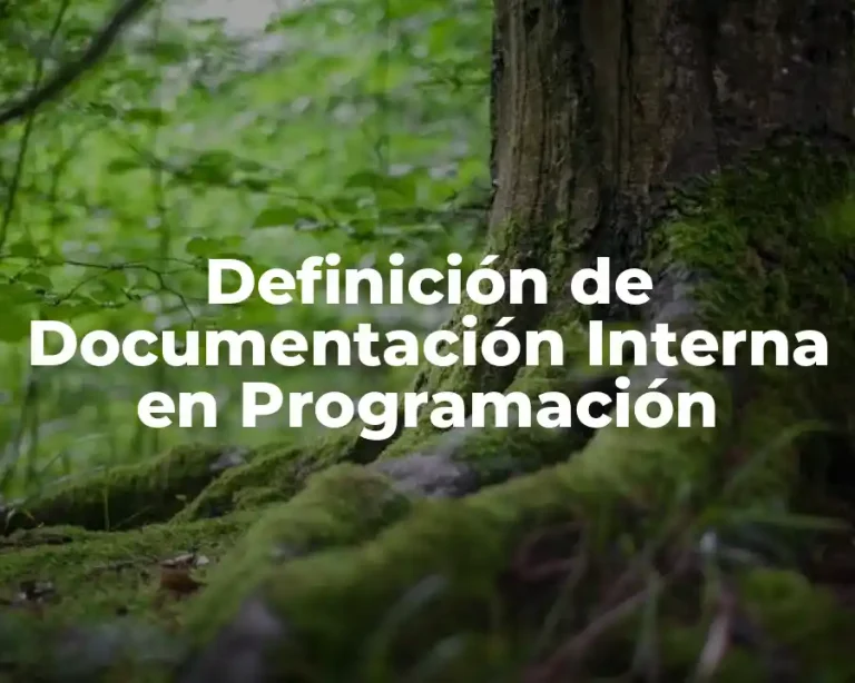 Definición de Documentación Interna en Programación