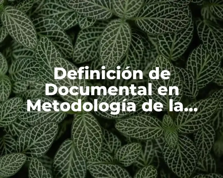 Definición de Documental en Metodología de la Investigación