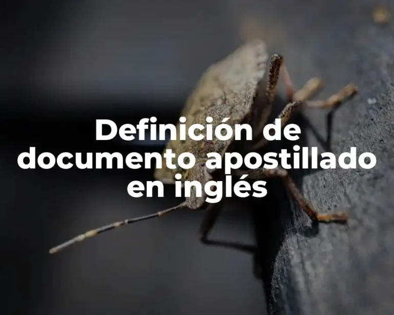 Definición de documento apostillado en inglés