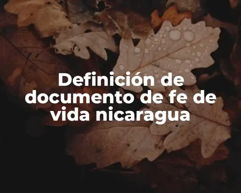 Definición de documento de fe de vida nicaragua