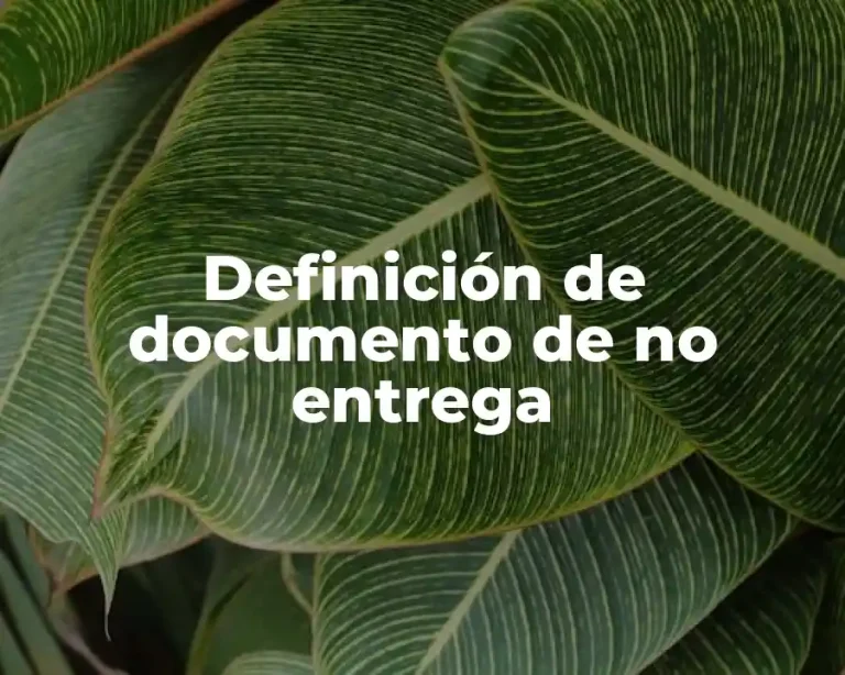 Definición de documento de no entrega