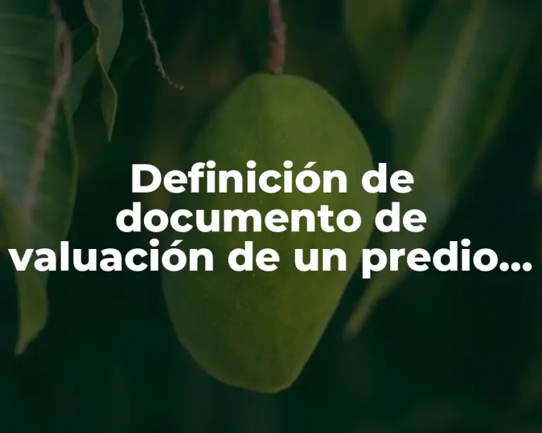 Definición de documento de valuación de un predio urbano
