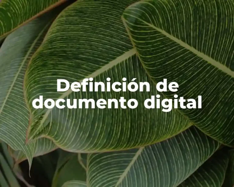 Definición de documento digital