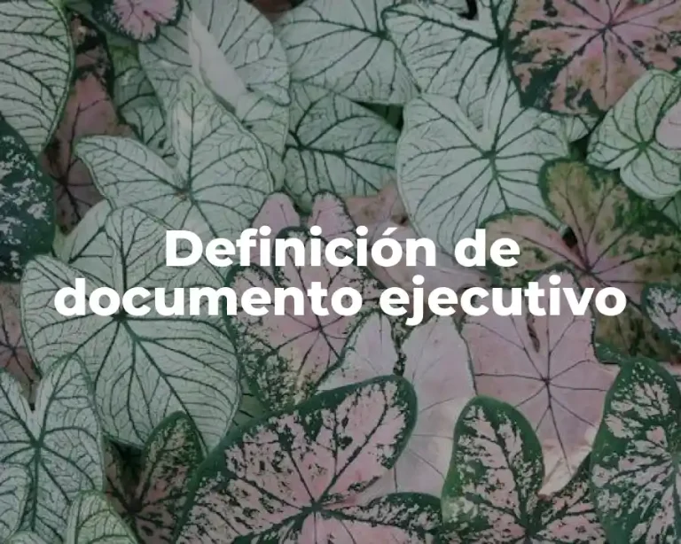 Definición de documento ejecutivo