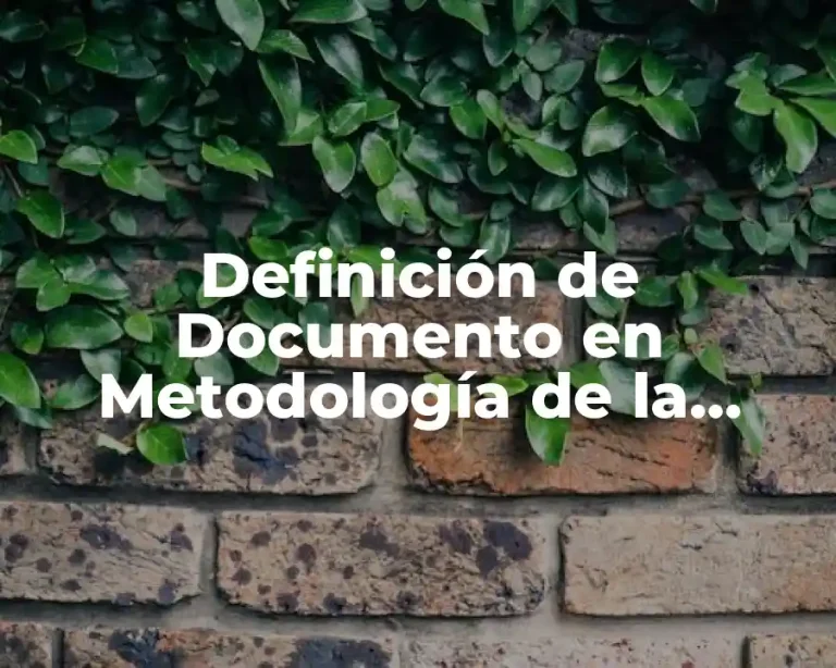 Definición de Documento en Metodología de la Investigación
