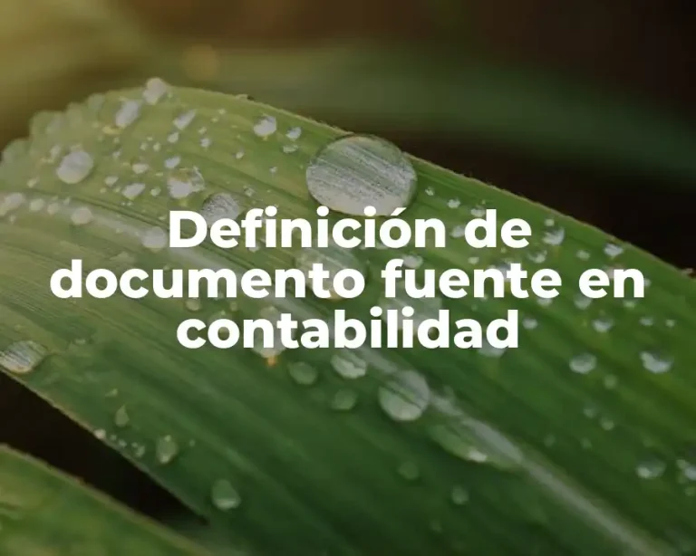 Definición de documento fuente en contabilidad