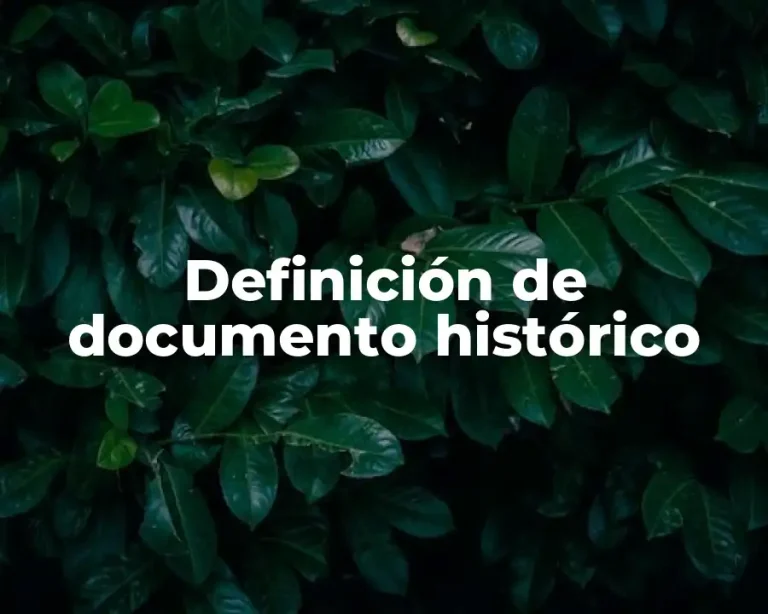 Definición de documento histórico