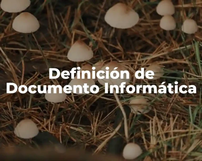 Definición de Documento Informática