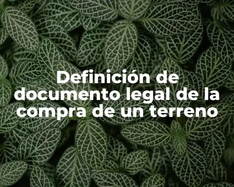 Definición de documento legal de la compra de un terreno