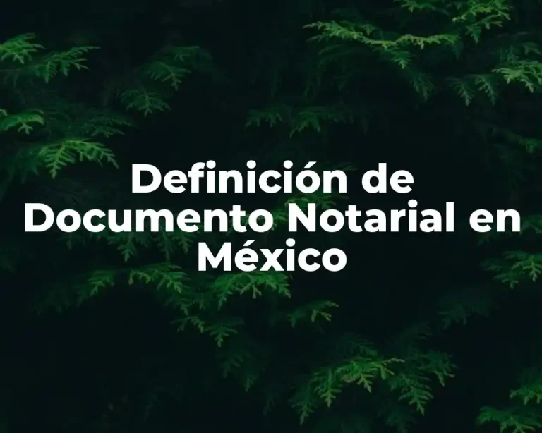 Definición de Documento Notarial en México