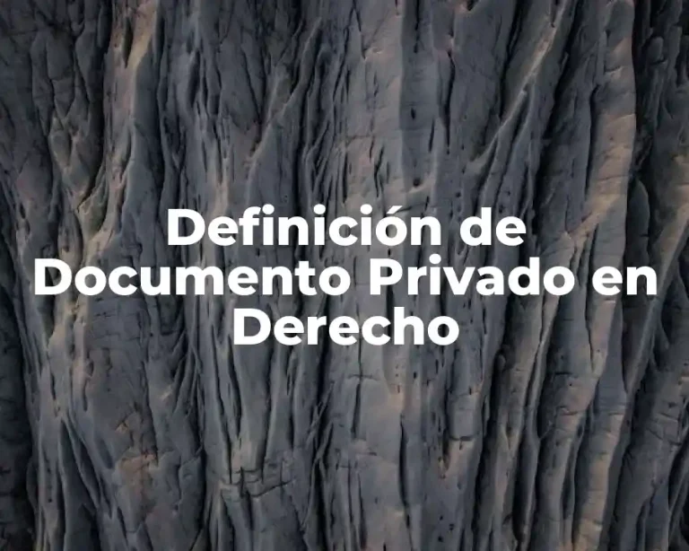 Definición de Documento Privado en Derecho